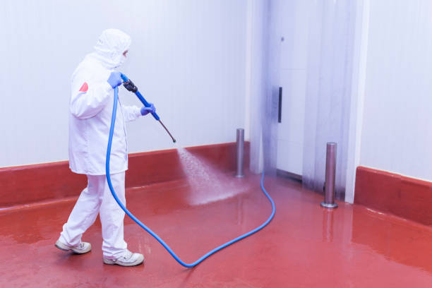 Best Roof Washing  in Redlands, CO